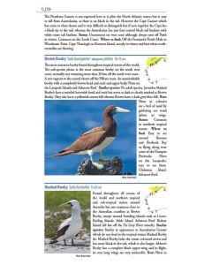 Birds of Western Australia | The Field Guide