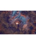 Skywatcher Quattro 200/800 F4 Imaging Reflector Telescope - OTA Only