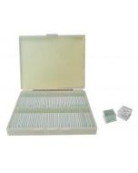 saxon Blank Slides Kit with Box -100pcs