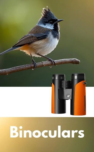 Black Friday 2025 Binoculars