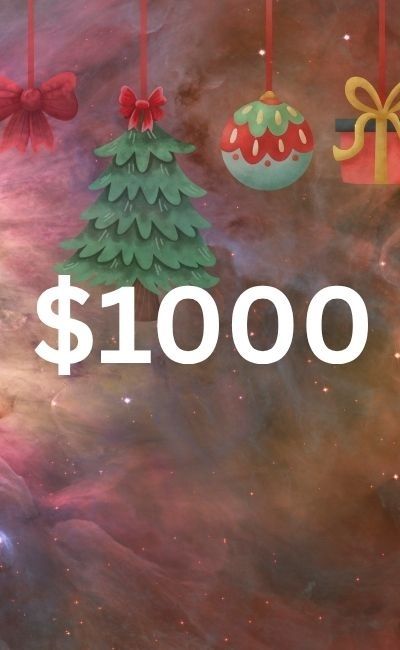 Christmas Astrophotography $1000