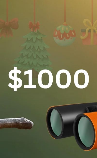 2025 Christmas Gift Guide for $1000 Binoculars