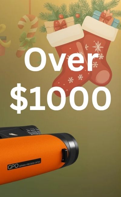 2025 Christmas Gift Guide for over $1000 Binoculars