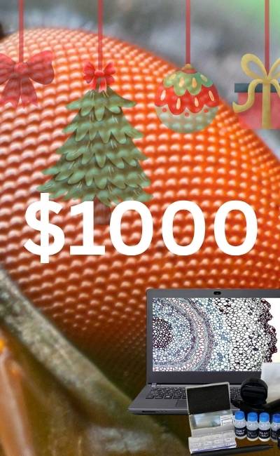 2025 Christmas Gift Guide for $1000 Microscopes