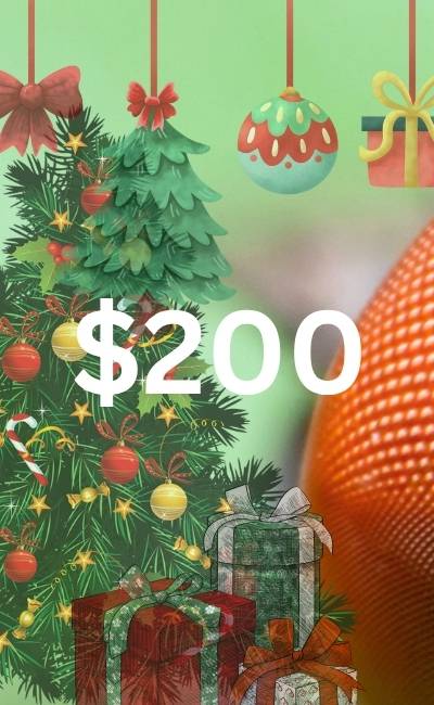 2025 Christmas Gift Guide for $200 Microscopes