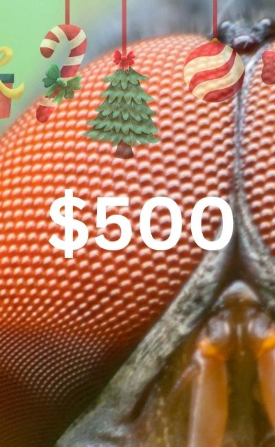 2025 Christmas Gift Guide for $500 Microscopes