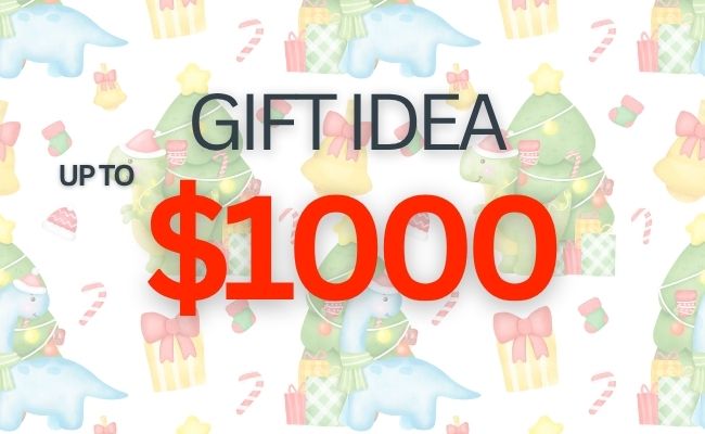 2025 Christmas Gift Guide for $1000.00