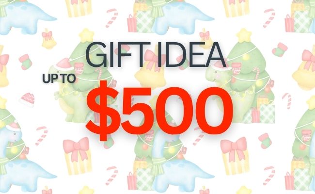 2025 Christmas Gift Guide for $500.00
